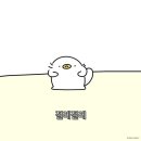 500돈 | [수영일기] 18화. 아레나 수영복의 마법 - 신림체육센터 수영 강습 초급반 18주차 및 토요일 자유수영 후기
