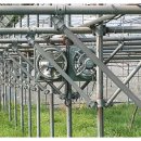 성공농장 이미지