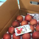 하은농원 이미지