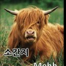 듬뿍하우스