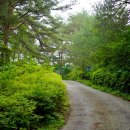 영월캠프 이미지