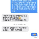 뽀도DOG 이미지
