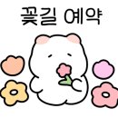 엠엠피