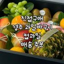 과일다니