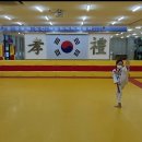 강림태권도장 이미지