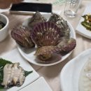 격포항횟집 | [부안 격포 횟집] 전어철 회정식 솔직후기 격포항횟집