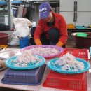 오랍드리 이미지