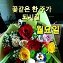 고중유락(苦中有樂) 이미지