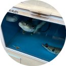 청해아구 이미지