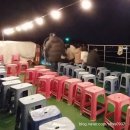 미수동 자전거 교육장 | 통영야경 통영여행 통영가볼만한곳 충무공 유람선 불꽃쇼 후기 추천