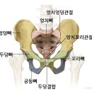 건강요가(월) 이미지