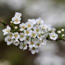 지산 행정사 이미지