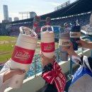 오덴세 X KBO 투웨이 루프 텀블러 NC다이노스 : 야구 직관 준비물 야구장 필수템 추천 내돈내산 후기