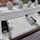 선샤인퍼피 이미지