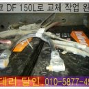 터미널밧데리