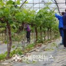 대신동 주민센터 이미지