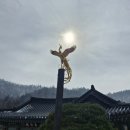 은파랑여행사