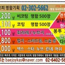 티오피명함기획