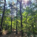 선유주유소 이미지