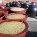 김부자농장 이미지