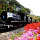 곡성-242 이미지