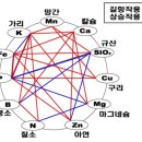 비료 이야기 1 [총론 중 3~6] 이미지