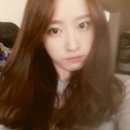 개이쁘다 이미지
