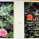 원효로 R 네이버블로그