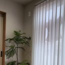 스테이달로 이미지