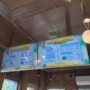 3일간동행 | 제주 신라월드 모모쥬 내돈내산 자세한후기