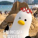 지금 부산 뭐하지? 📅5월 부산 축제·행사 모음.zip 이미지