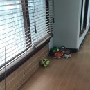 수원-0078 이미지