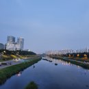 7월2째주 &amp; 3째주 일상