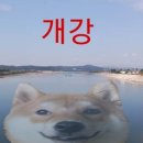 짐247 이미지