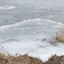 두물머리약국 이미지