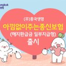 흥국생명 이미지