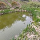 동네농장(2) 이미지