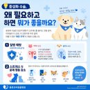 용문조아동물병원 | [공지] [용문조아동물병원] 우리 아이 건강을 위한 첫걸음, 개·고양이 중성화 수술의 모든 것!