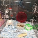 홈플러스 연수점(밀레쥬) 이미지