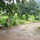 운문민박 이미지