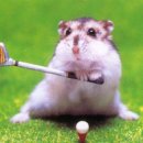 빅홀스크린골프 이미지