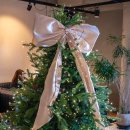 더숲애플트리어린이집 | 경산 크리스마스 카페 포토존 스팟 추천 테이스티가든 실시간 후기