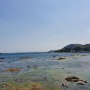 칠포2리 화장실 이미지