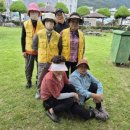 호롱불작은도서관 이미지