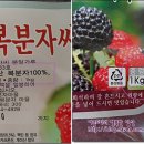 고창복분자마을진농식품