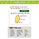 얌야미 Daum카페