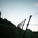 정경목장 이미지