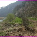 전원오토캠핑장 이미지