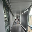 다낭에서 나트랑(나짱) 가는법 직항 베트남항공 국적기