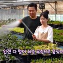 현규농장 이미지